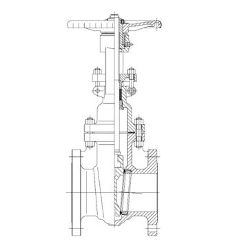 Cast Steel Gate Valve