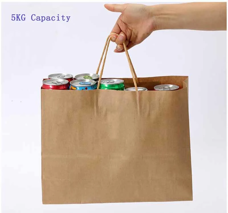 10*6.75*12 Inch Chept Price Handle Brown Kraft Zara Plain Cheap Price Paper Bags with Tyvek Paper Bags