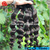 Burmese High Quality Silky Natural Color Hair