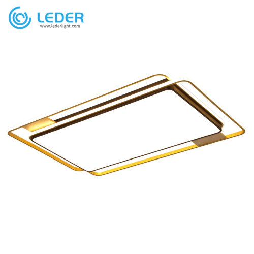 LEDER Flush Vanity Ceiling Lighting