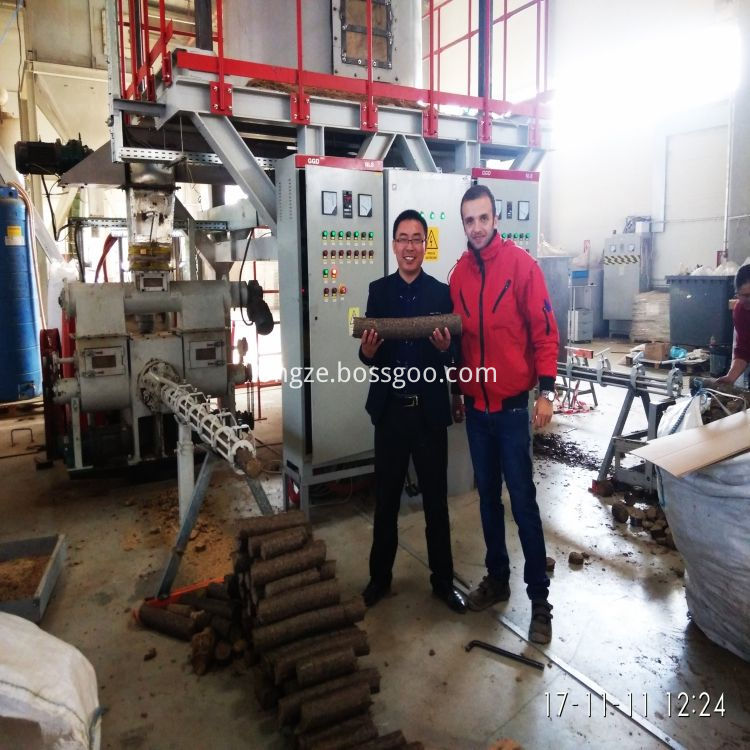 80-100mm قطرها RDF Machine/Briquette Making Machine