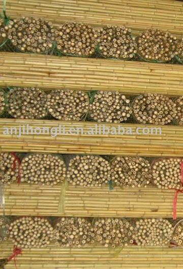 Tonkin bamboo cane