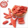 Super Berry Sun khô Goji Berries trái cây màu đỏ