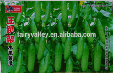Chinese Vegetable Seeds Cucumber Seeds For Yourself Cultivation-Each Nodes Sweet