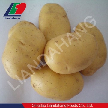 2016 Fresh Potatoes