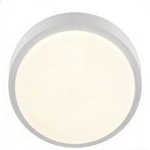 Soft glow ceiling lamp