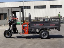 Multi-Purpose Electric Tricycle for Efficient Cargo Delivery