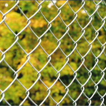 Feuerverzinktes Chain Link Netting