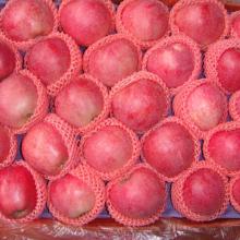 Fresh fruit red star apple