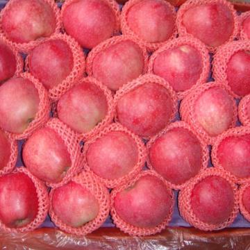 Fresh fruit red star apple