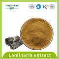 10% Laminaria extract powder Fucoidan