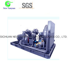 Compresor de desplazamiento de gas 1200nm3 / H para instalaciones eléctricas / de energía
