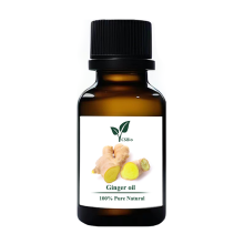 Ginger oil benefits for stomach