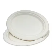 Compostable Wedding Dinnerware Plates