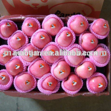 Fresh Red Fuji Apples