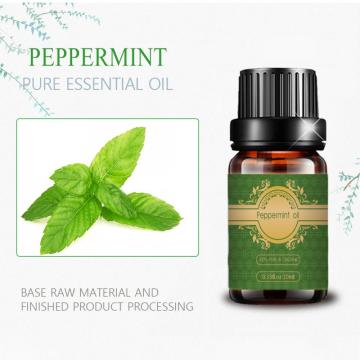 High Quality Peppermint essential Oil wholesale bulk price