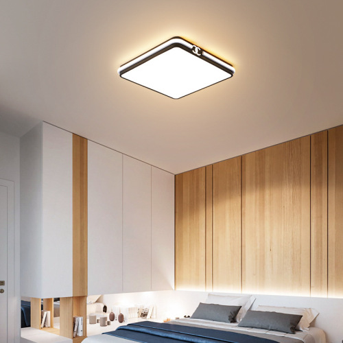 LEDER LED תליית אורות תקרה קטנים