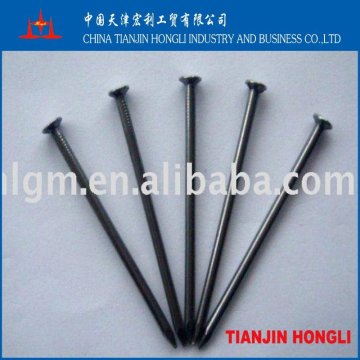 Polished common nails made in China