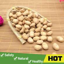 Chinese green broad bean fava beans for sale