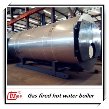 Hot water central heating system gas boiler