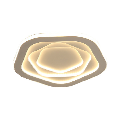 LEDER Best Decorative Ceiling Lamps