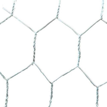 Small Hole  Galvanized Hexagonal Chicken Wire Mesh