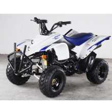 250CC EEC ATV