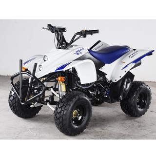 250CC EEC ATV