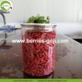 ขายส่ง Premium Eu Standard Goji Berries