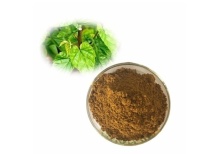 Mulberry Leaf Extract 2023