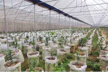 High quality plastic film nursery greenhouse film