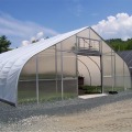 Gothic Arch Plastic Tunnel Greenhouse