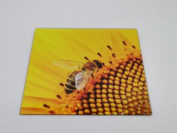 glass cutting board used in the kitchen room