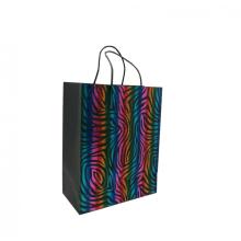 RAINBOW PAPER GIFTBAG 1-0