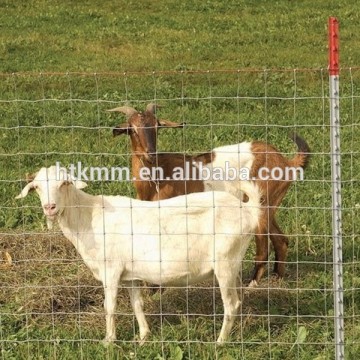 Galvanized Cattle Field Fence/field fencing mesh/farming fencing for sheep