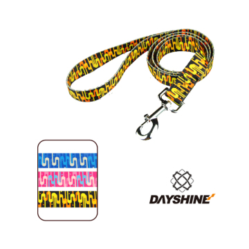 Multicolor Dog Collar with Fashion Design