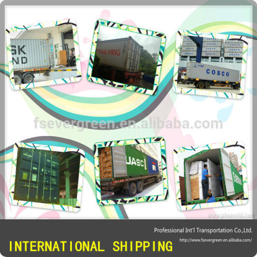 sea shipping from Shenzhen to Bejaia,Algeria with warehousing services