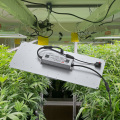Luces de cultivo LED de lámpara de plantación de cannabis