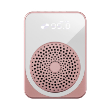 Portable Wireless Voice Amplifier with Bluetooth Lapel Microphone for Teachers - Affordable Solution for Clear Classroom Audio