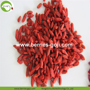 Nhà máy Cung cấp Trái cây Giá thị trường Goji Berry