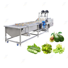 High-Quality Garlic Turmeric Moringa Green Leaf Vegetables Washing Machine