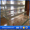 Pássaros de boa qualidade Poultry Farm Cage Chicken