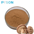 Shiitake-Pulver 7% von UV