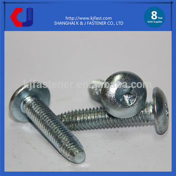 All kinds china manufacturer Torx head Floor board screw