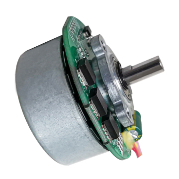 12V Brushless Motor, BLDC Motor 12V & Brushless DC Motor 1000W Customizable