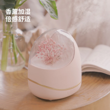 Electric aromatherapy essential oil diffusers nebulizer