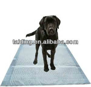 pet traning underpad