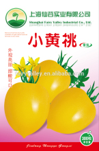 Yellow Tomato Seeds For Growing-Little Yellow Peach