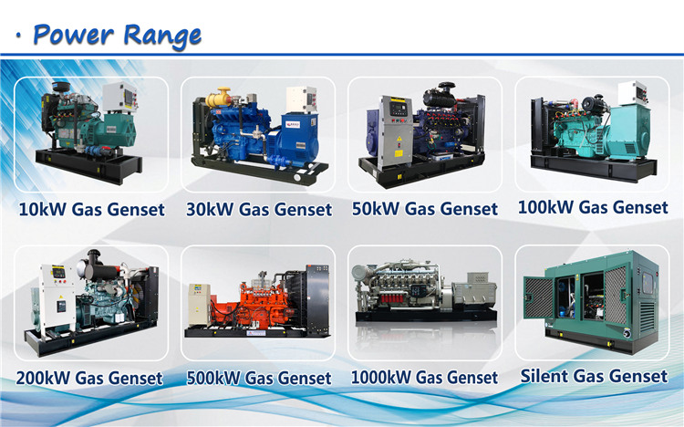 Clean energy CHP mini 5kW 8kW 10kW 50kW 100kW biogas power plant generator set sale with factory price