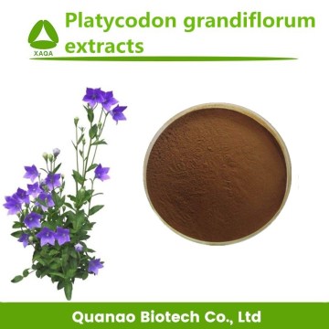 Ballon-Blumen-Wurzel-Extrakt / Platycodon Grandiflorum-Pulver